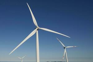 alternativa energía viento turbina planta foto