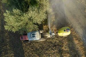 Pesticide treatment for an olive plantation photo