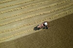 The work of a wheat harvester in the summer photo