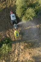 Pesticide treatment for an olive plantation photo