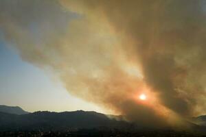 Large column of smoke from a forest fire photo