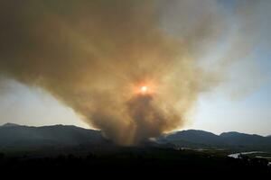 Large column of smoke from a forest fire photo