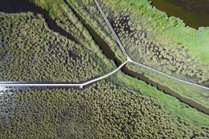 Pedestrian walkway inside the park of Massaciuccoli Italy photo