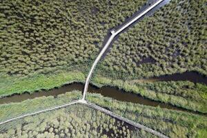 Pedestrian walkway inside the park of Massaciuccoli Italy photo