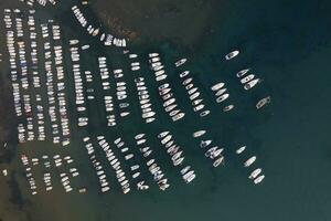 Aerial view of the small port of Baratti at the first light of dawn photo