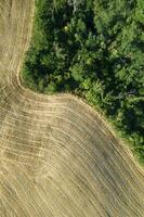 Aerial view of the shape of the fields Tuscany Italy photo