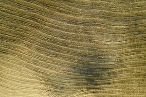 Aerial view of the shape of the fields Tuscany Italy photo