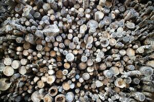 Photographic documentation of a stack of firewood photo