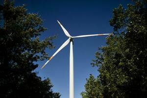 Photographic documentation of a wind turbine in the forest photo