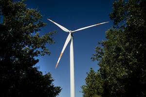 Photographic documentation of a wind turbine in the forest photo