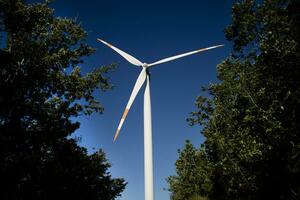 fotográfico documentación de un viento turbina en el bosque foto