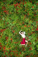 aéreo Disparo de un niña acostado en un amapola campo foto