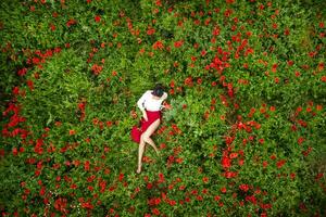 Aerial shot of a girl lying in a poppy field photo