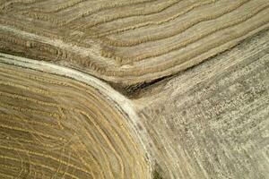 Aerial shot of a straw field left to dry photo