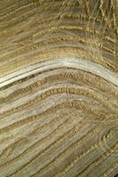 Aerial shot of a straw field left to dry photo