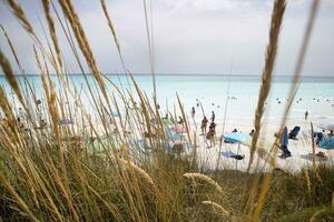 View of the white beaches of Vada in Rosignano Italy photo