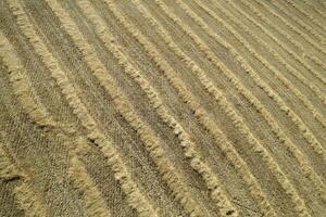 Aerial shot of a straw field left to dry photo