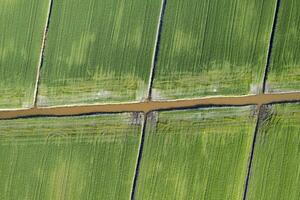 aéreo Disparo de el giométrico formas de el campos foto