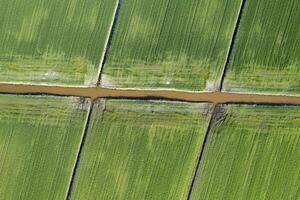 Aerial shot of the giometric shapes of the fields photo