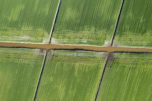 aéreo Disparo de el giométrico formas de el campos foto