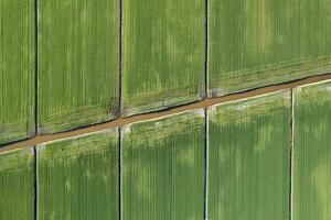 Aerial shot of the giometric shapes of the fields photo