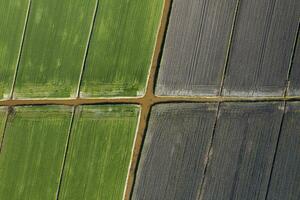 Aerial shot of the giometric shapes of the fields photo