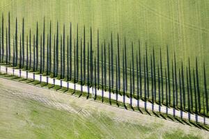 aéreo fotográfico documentación de el cipreses de el val di orcia foto