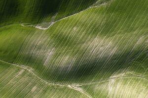 Aerial shot of the shapes of the cultivated fields photo