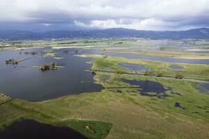 Aerial view of the marshy area of Lake Massaciuccoli photo