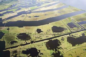 Aerial view of the marshy area of Lake Massaciuccoli photo