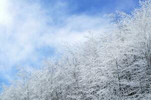 Tuscan Apennines covered with snow covered photo