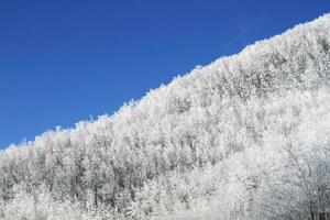 Tuscan Apennines covered with snow covered photo
