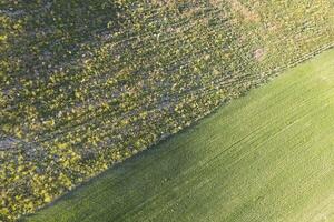 Aerial view of countryside colors in spring photo