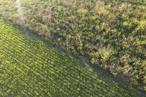 Aerial view of countryside colors in spring photo