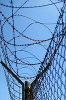 a barbed wire fence with a blue sky in the background photo