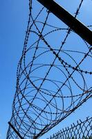 a barbed wire fence with a blue sky in the background photo