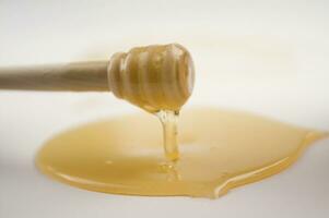 honey dripping from a wooden stick photo