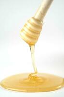 miel goteo desde un de madera palo foto