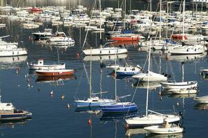 details of the town of Lerici Liguria photo