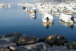 the boats are all white photo