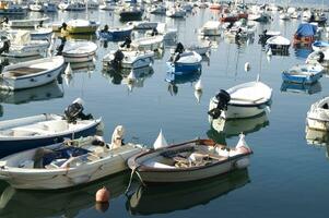 the boats are all white photo