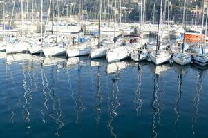 the boats are all white photo