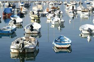 the boats are all white photo