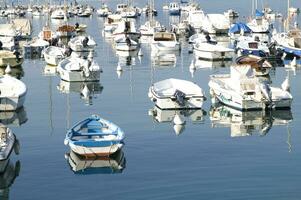 the boats are all white photo