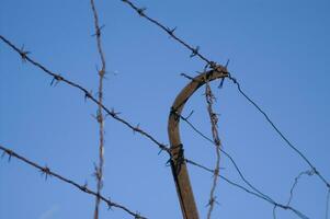 a barbed wire fence with a blue sky in the background photo