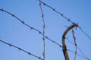 a barbed wire fence with a blue sky in the background photo