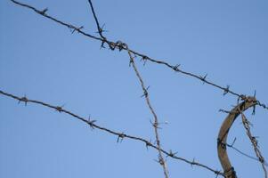 a barbed wire fence with a blue sky in the background photo