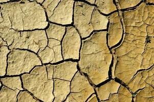 The effects of drought on the earth photo