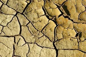 The effects of drought on the earth photo