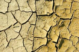 The effects of drought on the earth photo